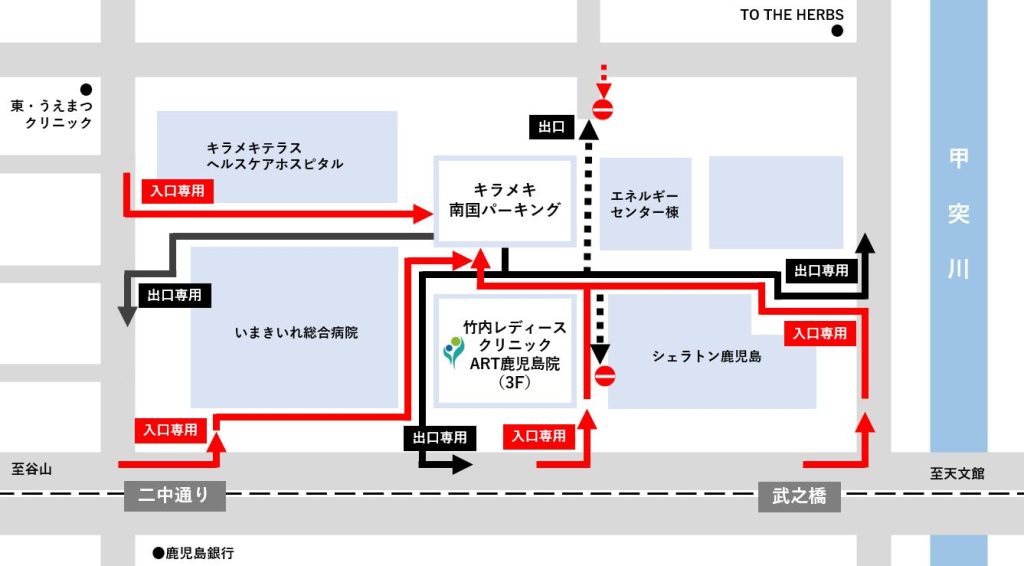 竹内レディースクリニックART鹿児島院